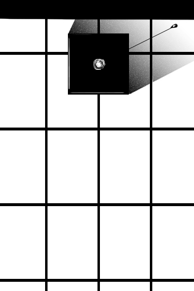 [  - 113 ]